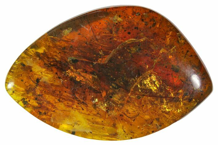 Polished Chiapas Amber ( g) - Mexico #114705